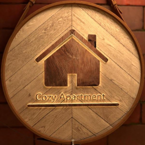 Cozy apartment